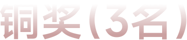 铜奖（3名）